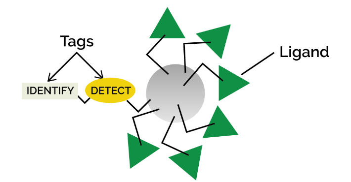 multimetric-ligand-01